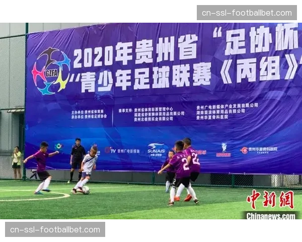 巴西手球协会主席因涉嫌挪用青少年发展基金遭检方调查