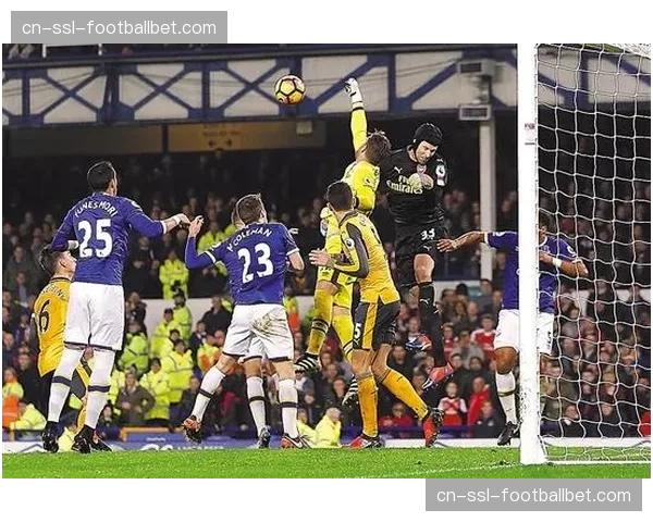 数据模型分析：埃弗顿最后五轮赛程为保级队中最艰难