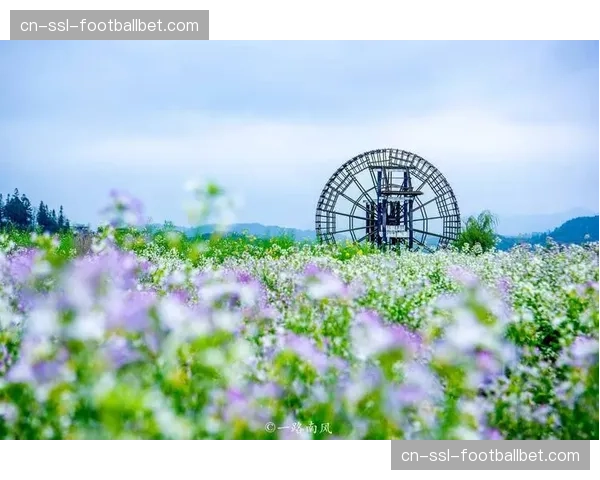 “骑行金色花海·乐享健康生活”:体育旅游品牌赛事的打造与推广 “骑行金色花海·乐享健康生活”:体育旅游品牌赛事的打造与推广